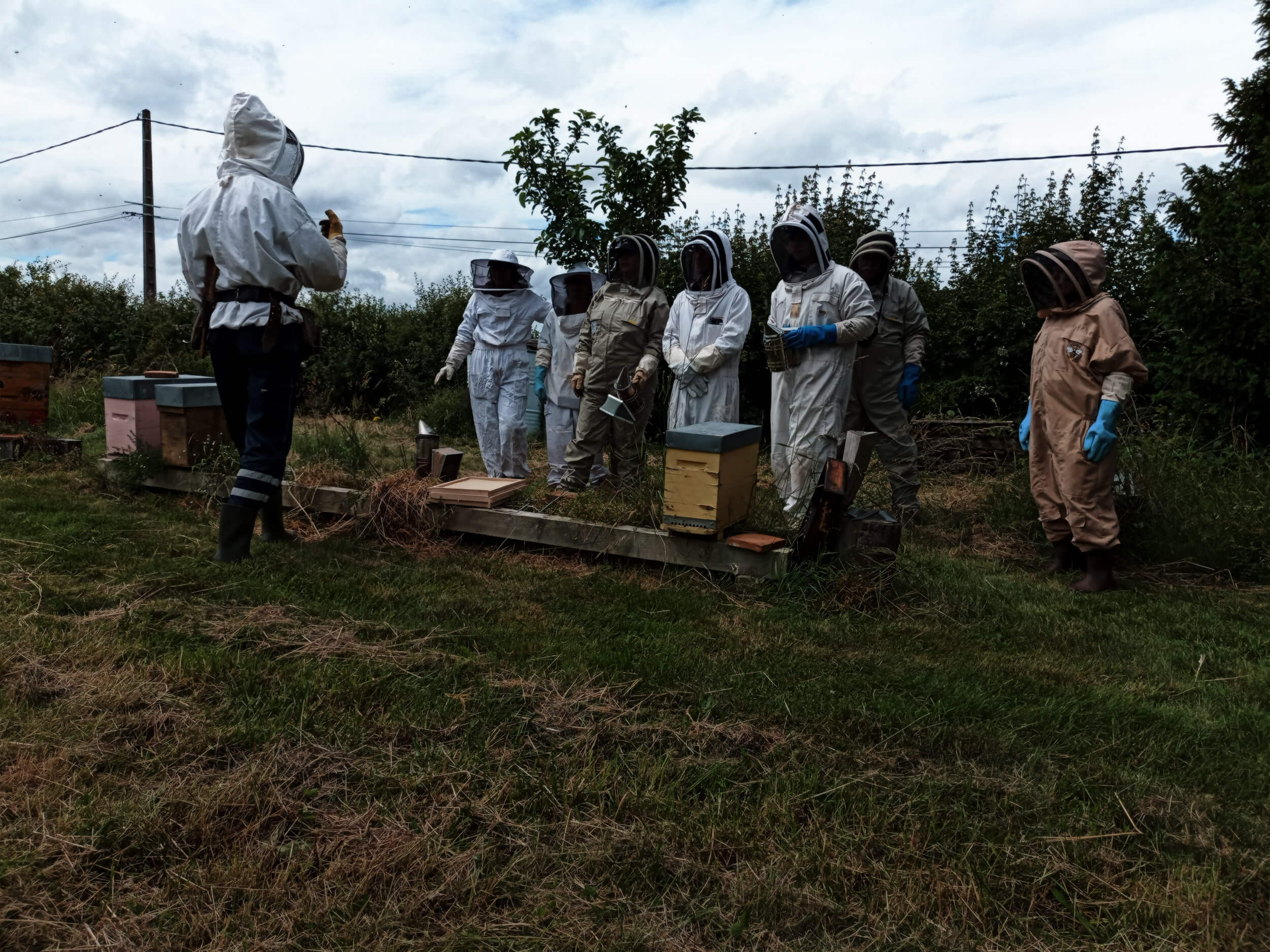 Formation Apiculture Côte d'or