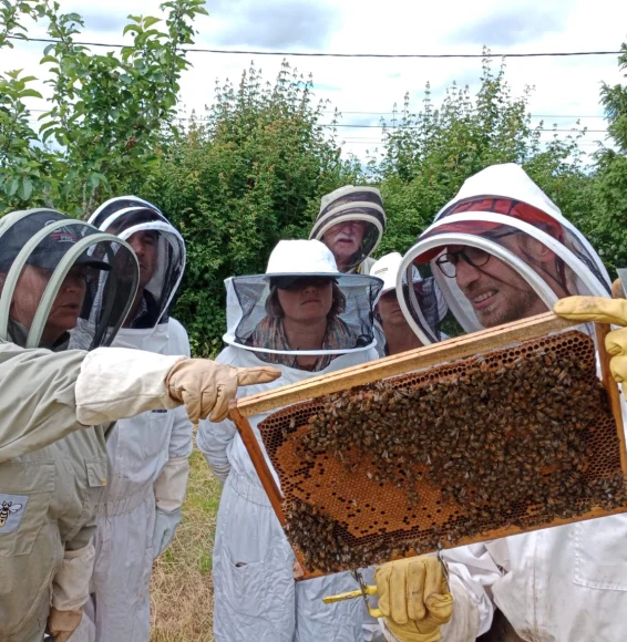 Formation Apiculture en Côte d'Or